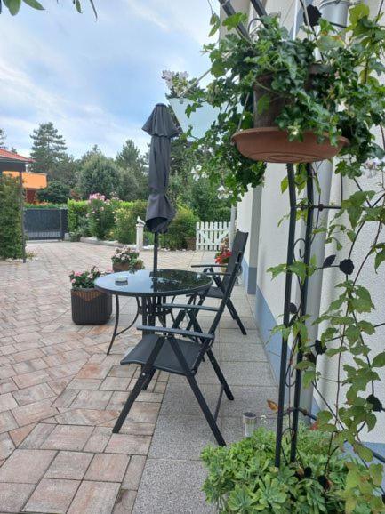 Ferienwohnung Apartma Majda Sežana Exterior foto